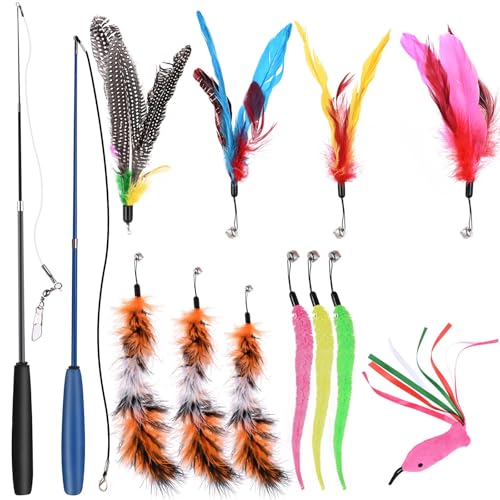 GOLDGE Juguetes para Gatos 13Pcs, Juguete Gato Interactivo, Juegos de Gatos Accesorios, Cat Toys, Cosas para Gato con Plumas, Ratóns, Pelota, Almohada y Juguete Interactivo Varias