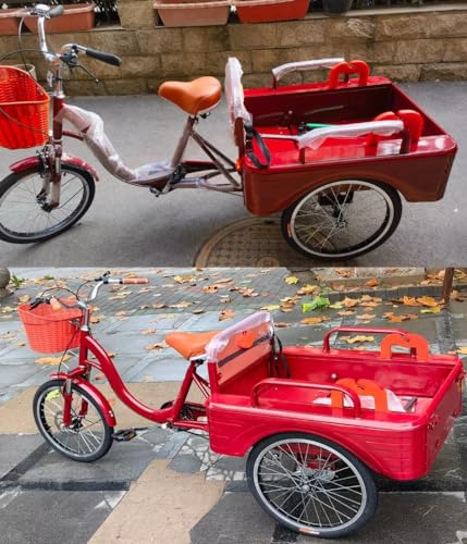 Triciclo Paseo para Adultos con Cabin, 20 in miniatura 2