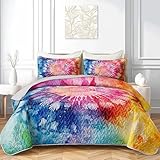AILONEN Tie Dye Quilt Set Queen Size,Spiral Abstract Art Bedspread Coverlet for Girls Women,Boho Hippie Style Bed Cover with 2 Pillowcase,Soft Lightweight for All Season