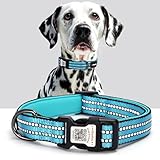 ilFindYou Reflective Dog Collar with QR Code Tag, Personalized Dog Collar, Safety Night Visibility, Anti-Loss Function (Blue, Medium)