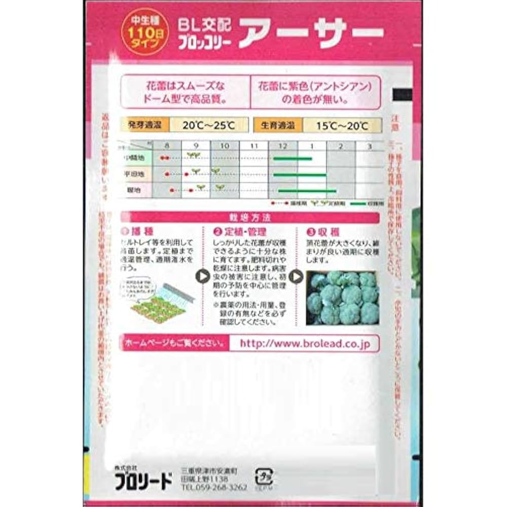 【 HUNTER STORE】ブロッコリーコート種子（深碧②アーサー②） HUNTER STORE】ブロッコリーコート種子（深碧②アーサー②