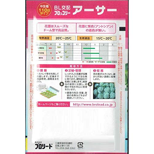 【匿名発送】大人気の新種が激安！ブロッコリーコート種子（アーサー）5000粒 jvsds_ts0439a