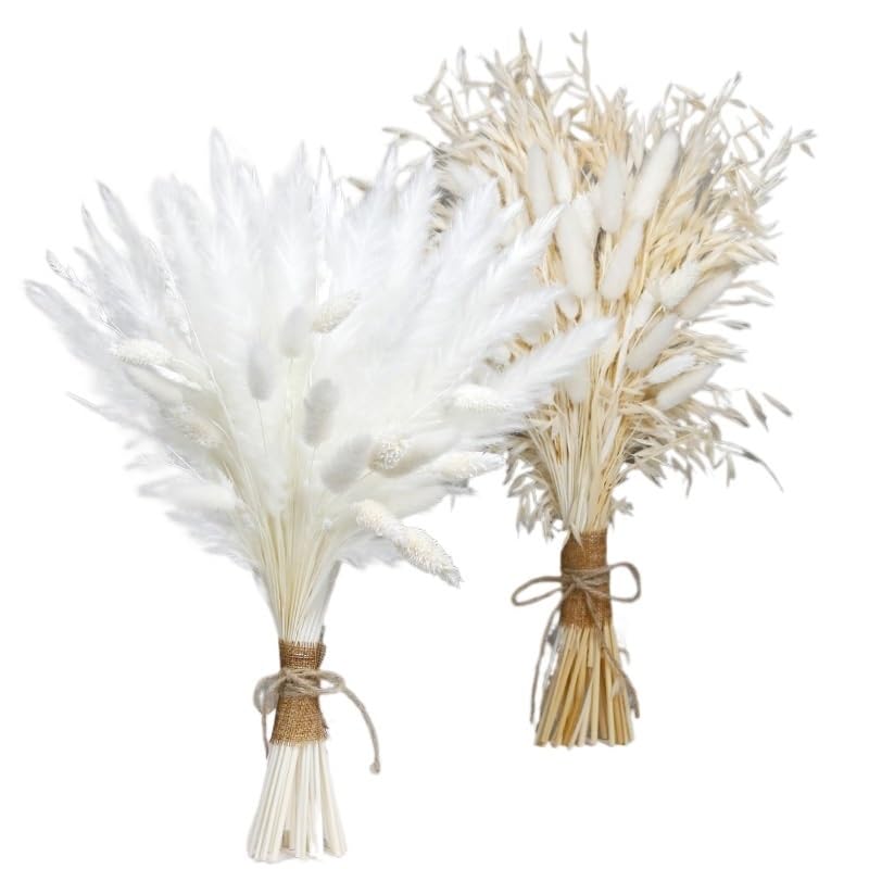 Ramo de pasto pampas seco natural grande y esponjoso 35-45 cm miniatura 2