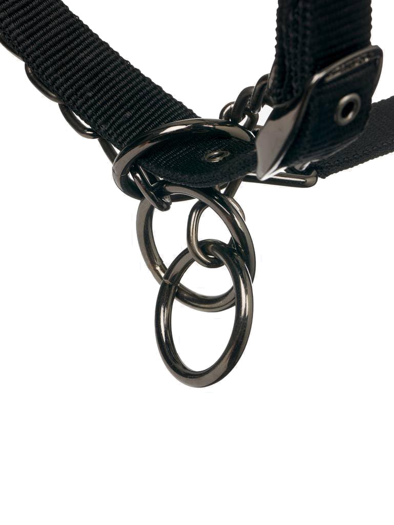 LeMieux Licol Pro-Safe Noir – Full/WB