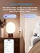 meross Matter Smart Plug Mini, FFS Easy Setup, 100% Privacy Smart Outlet, Compact Size, Support Apple Home, Alexa, Google Home with Schedule and Timer, App and Voice Control, 2.4G Wi-Fi Only (4 Pack)