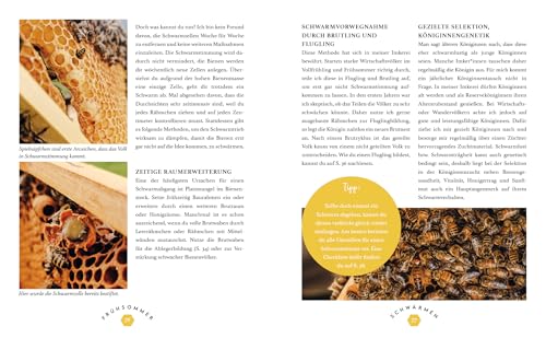 Imkern mit Herz: Das Praxisbuch für Einsteiger zu allen Arbeiten im Jahresverlauf plus Profiwissen zur Königinnenzucht, Honiggewinnung, Vermarktung ... | von Insta-Imkerin @honigmanufaktur.mit.herz