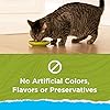 Purina Cat Chow Hairball, Healthy Weight, Indoor, Natural Dry Cat Food, Naturals Indoor - 13 lb. Bag #3