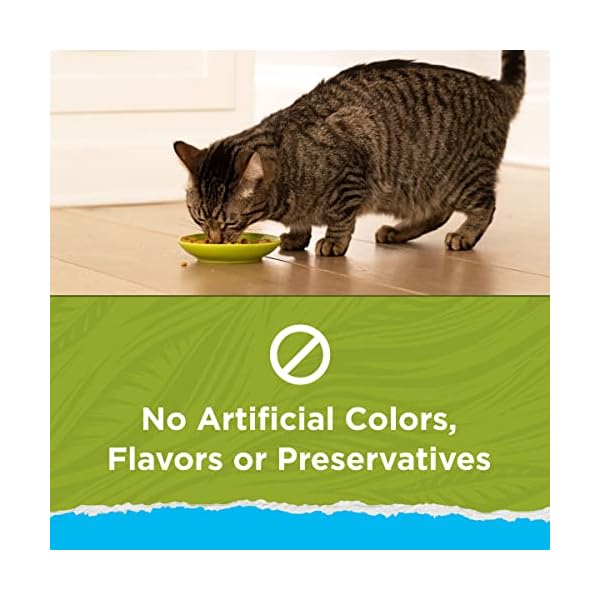 Purina Cat Chow Dry Cat Food, Naturals, 13 Pound Bag by Purina Cat Chow – Bild 5