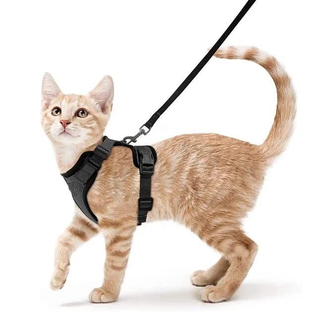 Adjustable Cat Harness Vest Custom Mesh Escape Proof Cat Harness and Leash Set for Walking (XS, Black)