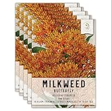 Seed Needs Orange Butterfly Milkweed Seeds for Planting - Heirloom & Untreated - Grow a Butterfly Garden to Attract Monarch Butterflies & Pollinators (5 Packs)