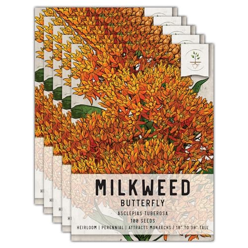 Seed Needs Orange Butterfly Milkweed Seeds for Planting - Heirloom & Untreated - Grow a Butterfly Garden to Attract Monarch Butterflies & Pollinators (5 Packs)