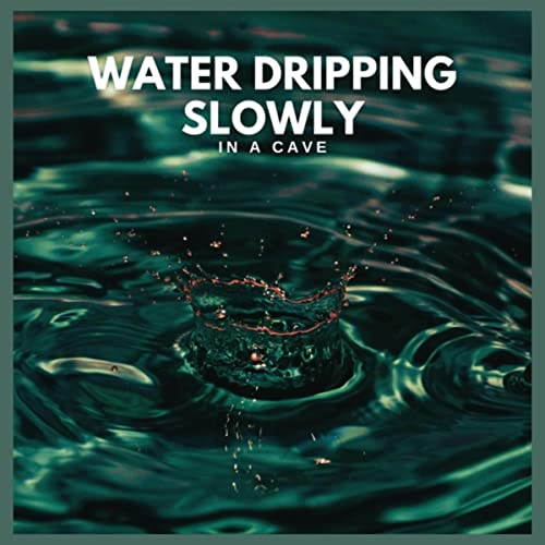 Water Dripping Slowly in a Cave, Pt. 34 song by Background Noise From ...