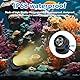BuyWeek Solar Unterwasser Licht LED Teichbeleuchtung IP68 Wasserdicht Unterwasserstrahler Landschaftsscheinwerfer Gartenbeleuchtung für Garten Teich Patio Aquarium, Warmweiß 3200 K, 3 in 1