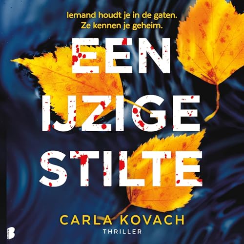 Page de couverture de Een ijzige stilte