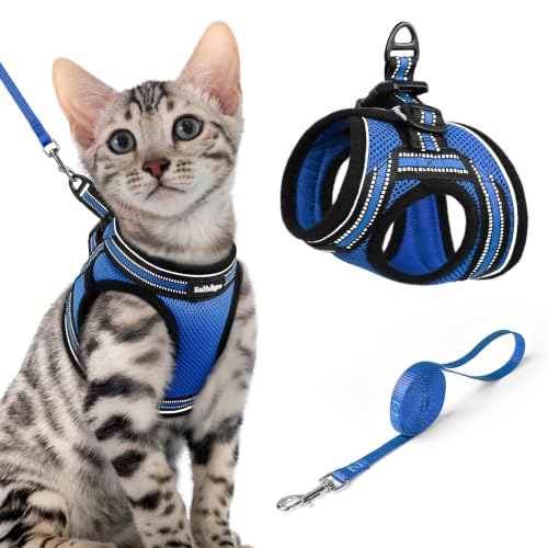 Image of rabbitgoo Cat Harness and Leash Set, Step-in Soft Vest, Blue | Escape Proof, Lightweight, Easy-on & Adjustable, Hook & Loop with Buckle, Reflective, for Small Cats Walks, XL