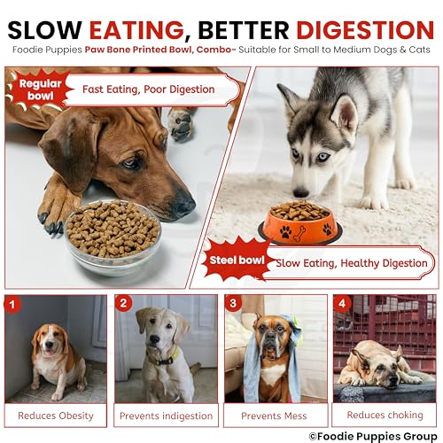 Image of Foodie Puppies Stainless Steel Dog Bowl Combo - (Medium, 700ml) Food and Water Feeding Gift Bowl | Suitable for Dogs, Cats and Other Pets I Paw Bone Print, Anti-Skid Rubber Base (Red + Orange)