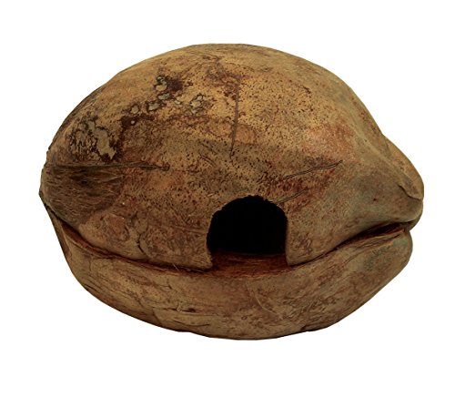 Namiba Terra 0414 Terrarien-Wassernapf, Coco Bowl, oval