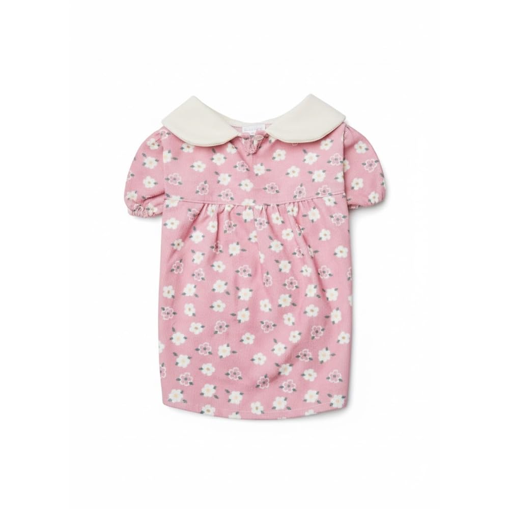 Robe rose en velours côtelé élastique contre le froid chien