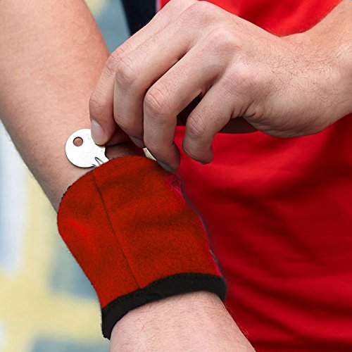 CHIC Lot De 2 Mini Pochettes Zip – 10x8 Cm, En Lycra, Pour Jogging, Running, Vélo, Clés, Cartes, Monnaie