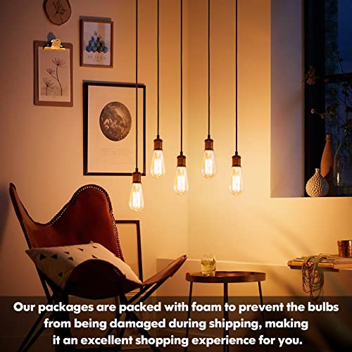 Brightever 60 Watt Incandescent Edison Light Bulbs thumb #5
