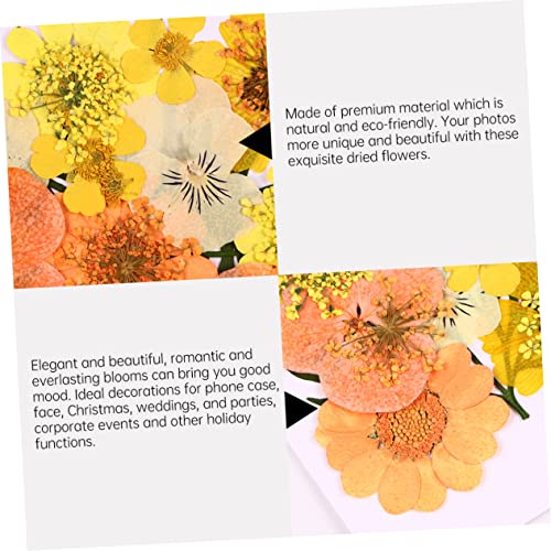 Material de Flores Secas ARTIBETTER 40 Piezas para Manualidades miniatura 6