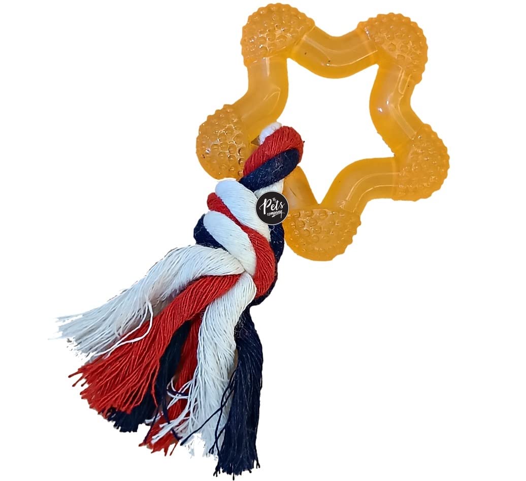 The Pets Company TPR Star with Rope Knot, Puppy Chew Teething Toy for Playing and Teeth Cleaning Training (B0BTHCRG28) Amazon Price History, Amazon Price Tracker