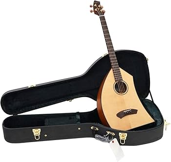 Amazon.co.jp: K.Yairi ベーシック N 一五一会 (Kヤイリ) : 楽器・音響機器 Amazon.co.jp: K.Yairi ベーシック N 一五一会 (Kヤイリ) : 楽器・音響機器