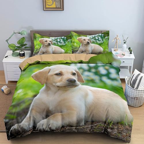 zcJo[ F zcZbg _炩 ʋC R hL h_j lGʗp tɗDVɂȂɂ ӂƂZbg (150x210cm) + 2 Jo[ (43x63cm)