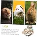 Happyyami 1set Natural Hamster Chew Toys for Animals Pet Molar Accessories for Guinea Pigs Chinchillas and Safe Material for Teeth Grinding and Chewing Behavior