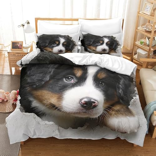 Linge de lit loutre housse de couette imprimé 3D microfibre douce adolescent - 3