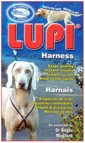 Dog Harness (Medium)