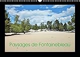  Paysages de Fontainebleau (Calendrier mural 2019 DIN A3 horizontal): Paysages de Fontainebleau, au fil des mois (Calendrier mensuel, 14 Pages )