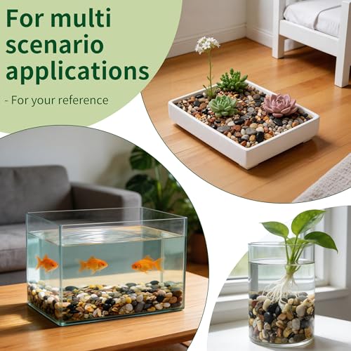 Image of Small Rocks for Plants,3 /8 inch Small Pebbles,1lbs Small River Rocks Decorative Pea Gravel,Pebbles for Indoor Plants, Vases, Bamboo, Succulent, Terrarium, Crafts, Cactus