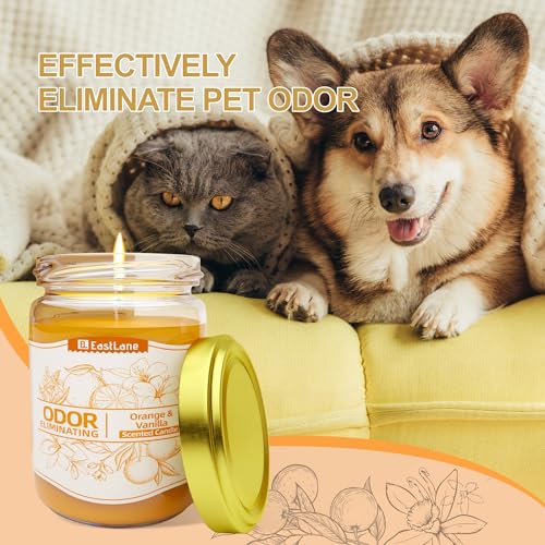 Orange & Vanilla Odor Eliminating Candles for Home Scented, Neutralizes Smoke, Food, and Pet Odors, Premium Soy Candles, Scented Candles Set for Women Orange & Vanilla Odor Eliminating Candles for Home Scented, Neutralizes Smoke, Food, and Pet Odors, Premium Soy Candles, Scented Candles Set for Women