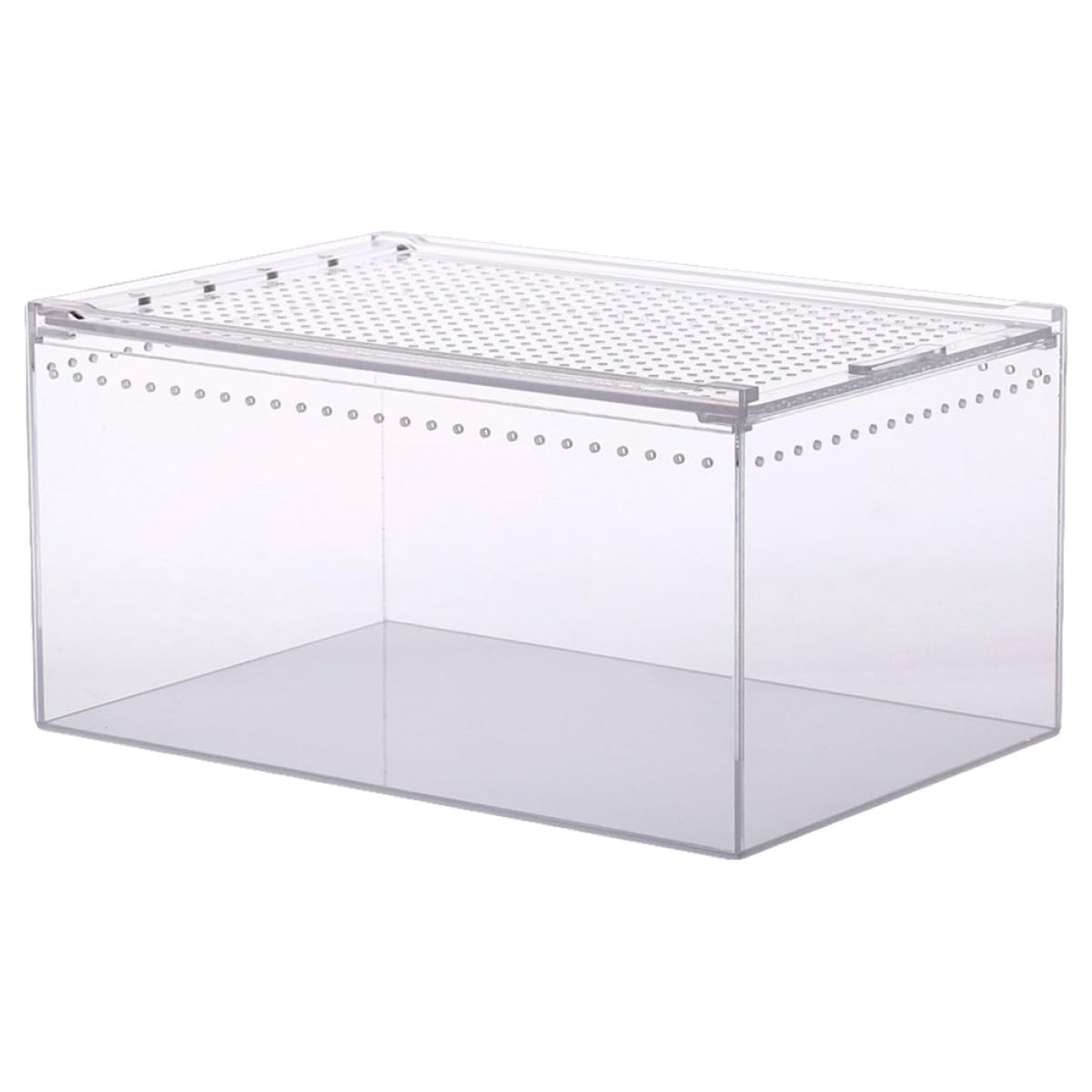 Terrarium pour reptiles transparent pour observer les petites bêtes venimeuses