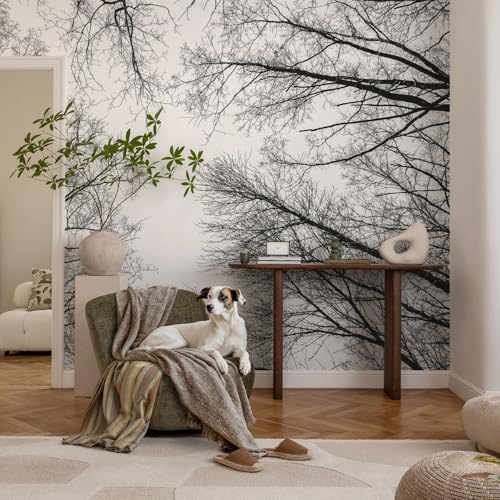 Revêtement mural intissé 416x254 cm branches nues avec colle incluse