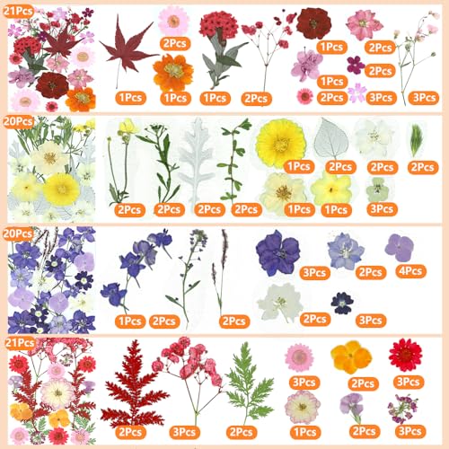 Juego de 82 flores secas prensadas naturales, rojo miniatura 2