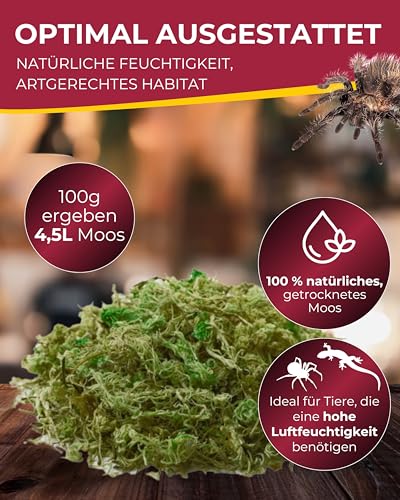HOBBY Terraristik Natural Moss I 100g I tropisches Substrat für Terrarien und Orchideen I Moos für Terrarien I 100% natürlich und ohne chemische Zusätze I Moos zur Erhöhung der Luftfeuchtigkeit