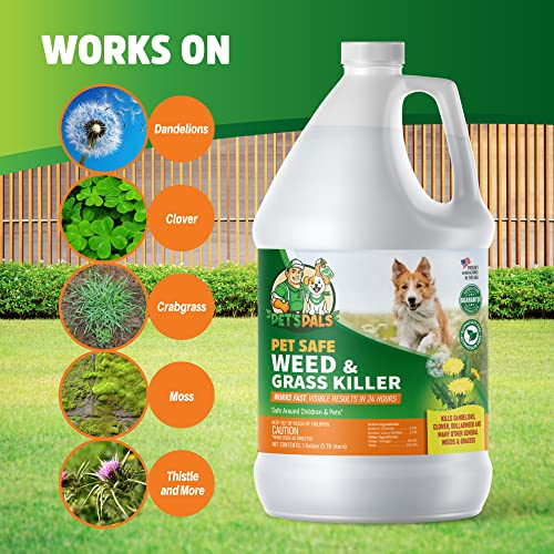 Pet's Pal Natural Weed Killer | Pet Safe Weed Killer Spray | Ready-To-Use Natural Herbicide | Environmentally Safe | Bee Safe | Glyphosate Free | Safe For Kids (1 Gallon) #TOP3