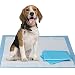 Gardner Pet 2 Pack Training Pads ,24 x 24 Inches Super-Absorbent