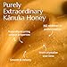BeeNZ Raw Kānuka Honey – Pure New Zealand Monofloral Kānuka Honey, Natural Sweetener & Superfood for Wellness, Skin Care, and Gourmet Food Pairing - No Sugar Added, Pantry Staple, Hive-to-Jar Traceable (8.8 oz)