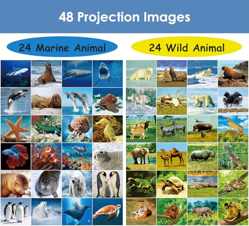 باب جو مصباح يدوي وجهاز عرض للحيوانات البرية وعالم البحر للاطفال من سن 3 و4 و5 و6 و7 سنوات، 6 اقراص و48 صورة، العاب مثالية للاولاد، مصباح يدوي للاطفال، مجموعات علمية تعليمية للاطفال الصغار من قطعتين