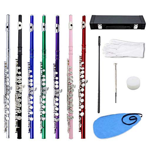 Flautas Profesionales Instrumentos Musicales Chino Dizi Transversal Flauta 16 Hoyos C Tono Clave Flauta Piccolo Flauta De Latón (Color : Silver)