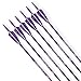 Pointdo 30inch Carbon Arrow Fluorescence Color Targeting and Practice and Hunting Arrows for Compound Bow and Recurve Bow with Removable Tips(Pack of 12) (Fluorescein Purple)