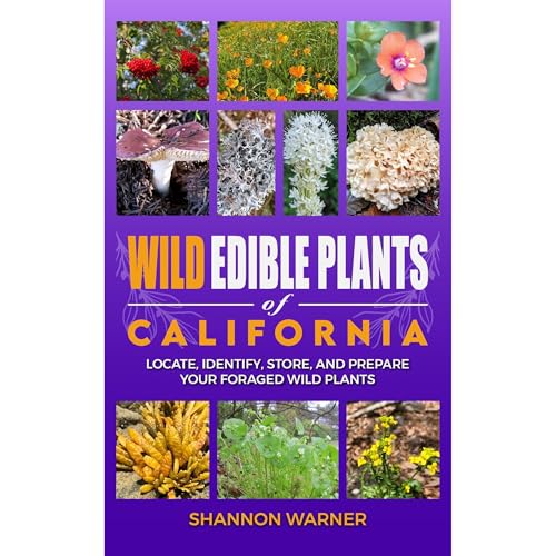 Wild Edible Plants of California by Shannon Warner episode artwork