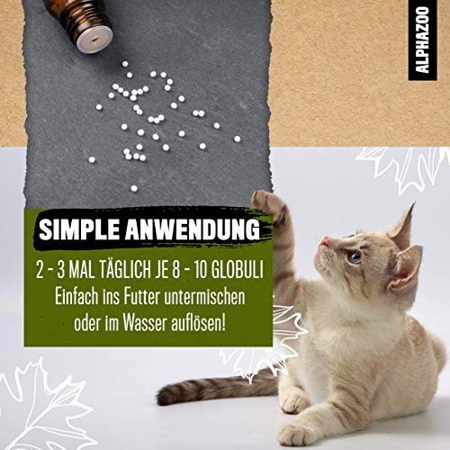 alphazoo Muntermacher Bachblüten für Hunde & Katzen 15 g I Globuli gegen Erschöpfung I Natürliches Beruhigungsmittel, Blütenmischung nach Dr. Bach