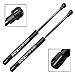 BOXI Qty(2) Front Hood Lift Supports Gas Struts Shocks Gas Springs Fit for BMW Z4 E85 E86 2003 2004 2005 2006 2007 2008 2009 2010/6258 SG202009 51237016178 3B-1035VA