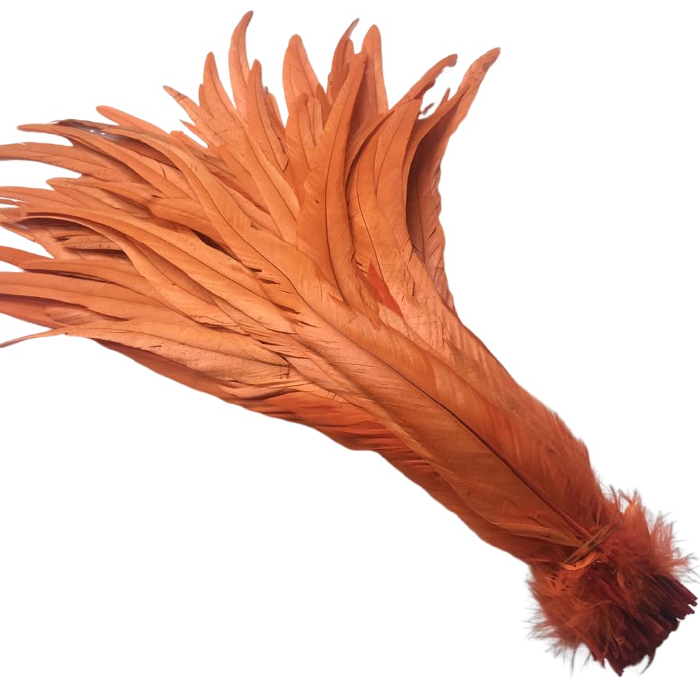 shekyeon 12-14inch Rooster Tail Feather Use for Hats Costume Decoration Pack of 50(orange) โ image 1