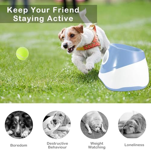 Aolawco Automatischer Ballwerfer, Ballwurfmaschine Hund mit 6 Pcs 2' Tennisbällen, Kann 10-30ft werfen, Interaktive Ballmaschine für Kleine und Mittlere Hunde