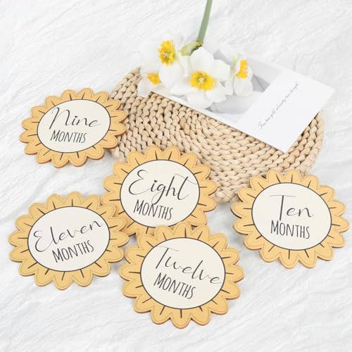 Image of Baby Monthly Milestone Signs - 13 Pack Wooden Baby Milestone Cards for 1-12 Months, Newborn Photography Props with Hello World Discs, Gender Neutral Baby Announcement for Boy Girl Age Shower Gifts